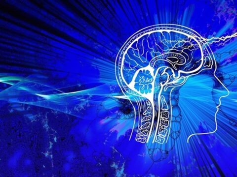 Rahasia Otak Tetap Tajam: Hubungan Gaya Hidup dan Kesehatan Kognitif